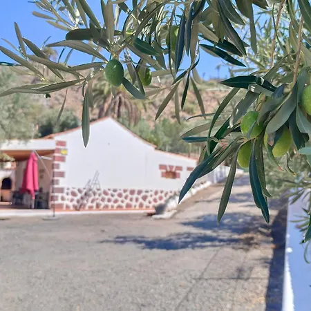 El Vergel